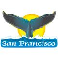 San Francisco, CA Whale Tail