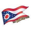 Ohio Flag The Buckeye State