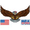 Patriotic Eagle
