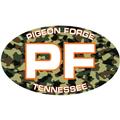 Pigeon Forge, TN