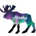 Colorful Moose