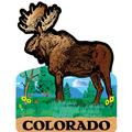 Colorado Moose