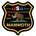 MAMMOTH California Black & Gold Shield Digita