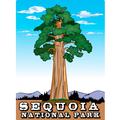 Sequoia National Park