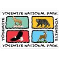 Yosemite, CA