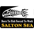 Salton Sea