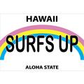 Hawaii License Plate Surfs Up