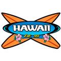Hawaii 3 Crossing Surfboards