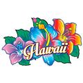 Hawaii 3 Hibiscus