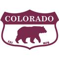Purple Wide Bear Shield