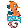 Seahorse with Banner