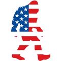 American Flag