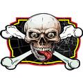 Skull and Crossbones with Spider Web