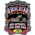 Steel Horse Rider