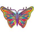 Rainbow Butterfly