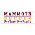 Mammoth Soccer 1 Team