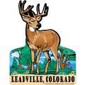 Leadville, Colorado