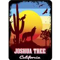 Joshua Tree, CA 