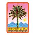Hadley Fruit Orchard Date Palm