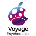 Voyage Psychedelics