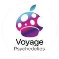 Voyage Psychedelics