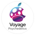 Voyage Psychedelics