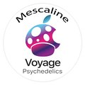 Voyage Psychedelics