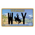 Wyoming WY License Plate