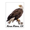 Kern River Eagle White Background