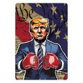 Trump Boxer We the People