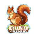 Idyllwild Squirrel