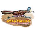 Anza Valley Roadrunner 