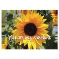 You Are My Sunshine