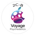 Voyage Psychedelics 