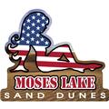 Moses Lake Sand Dunes