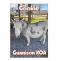 KOA Campgrounds Cookie Donkey