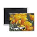 CALIFORNIA
