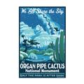 Organ Pipe Cactus National Monument