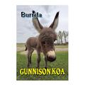Donkey Burrita