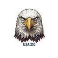 Eagle Stare