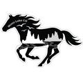 Mono Lake Ca Running Horse