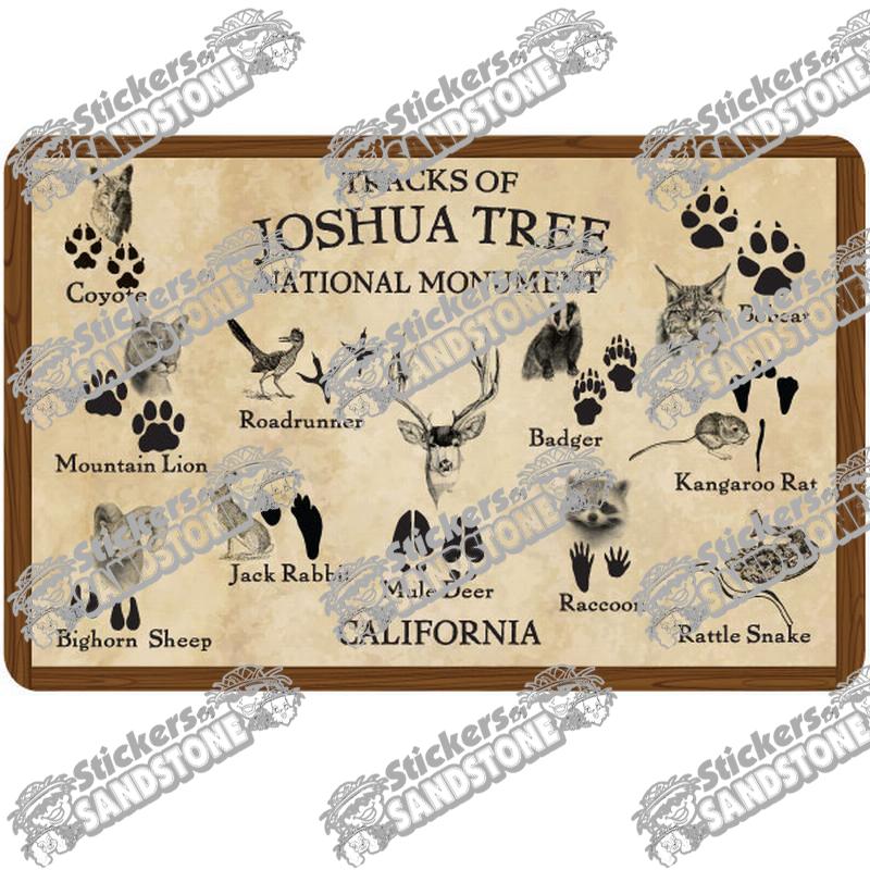 Joshua Tree Stickers - Ocotillo - Desert Apricot Mallow - Joshua Tree –  Coyote Brush Studios